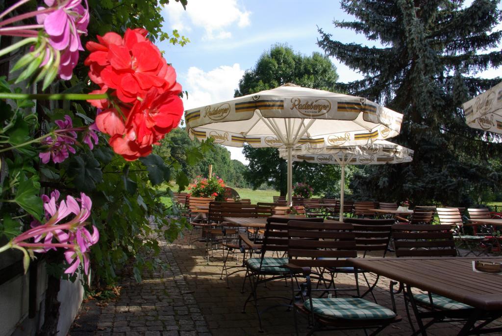 Hotel In Der Muehle Werdau Kültér fotó